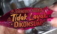 Berlangsung Tiga Kali Berturut-turut: Menu MBG di SMAN 1 Tuhemberua Tidak Layak Dikonsumsi