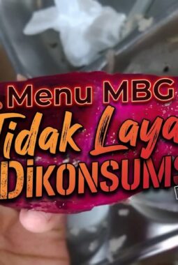 Berlangsung Tiga Kali Berturut-turut: Menu MBG di SMAN 1 Tuhemberua Tidak Layak Dikonsumsi
