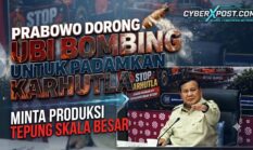 Prabowo Dorong Ubi Bombing Untuk Padamkan Karhutla, Minta Produksi Tepung Skala Besar